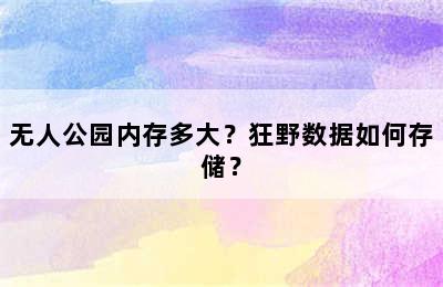 无人公园内存多大？狂野数据如何存储？