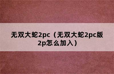 无双大蛇2pc（无双大蛇2pc版2p怎么加入）