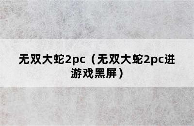 无双大蛇2pc（无双大蛇2pc进游戏黑屏）