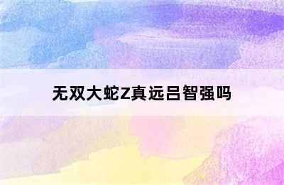 无双大蛇Z真远吕智强吗