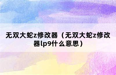 无双大蛇z修改器（无双大蛇z修改器lp9什么意思）