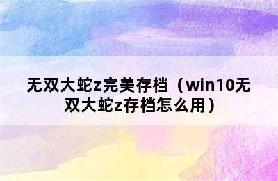 无双大蛇z完美存档（win10无双大蛇z存档怎么用）