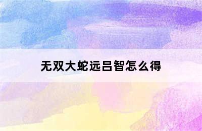 无双大蛇远吕智怎么得