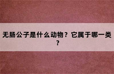 无肠公子是什么动物？它属于哪一类？