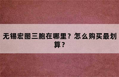 无锡宏图三胞在哪里？怎么购买最划算？