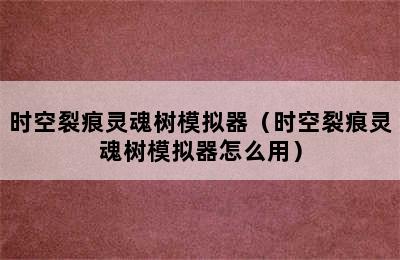 时空裂痕灵魂树模拟器（时空裂痕灵魂树模拟器怎么用）