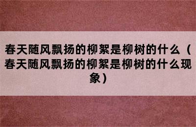 春天随风飘扬的柳絮是柳树的什么（春天随风飘扬的柳絮是柳树的什么现象）