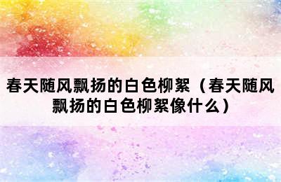 春天随风飘扬的白色柳絮（春天随风飘扬的白色柳絮像什么）