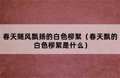 春天随风飘扬的白色柳絮（春天飘的白色柳絮是什么）