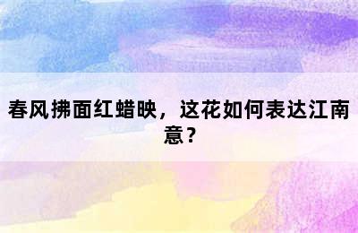 春风拂面红蜡映，这花如何表达江南意？