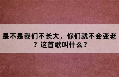 是不是我们不长大，你们就不会变老？这首歌叫什么？