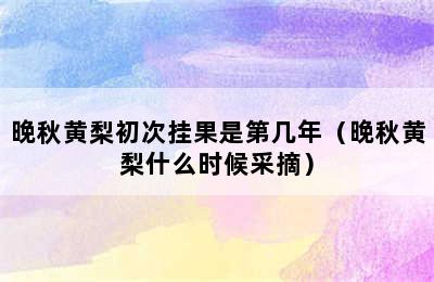 晚秋黄梨初次挂果是第几年（晚秋黄梨什么时候采摘）