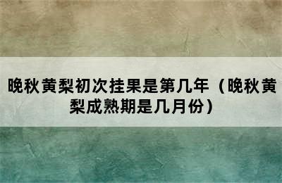 晚秋黄梨初次挂果是第几年（晚秋黄梨成熟期是几月份）