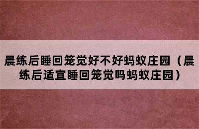 晨练后睡回笼觉好不好蚂蚁庄园（晨练后适宜睡回笼觉吗蚂蚁庄园）