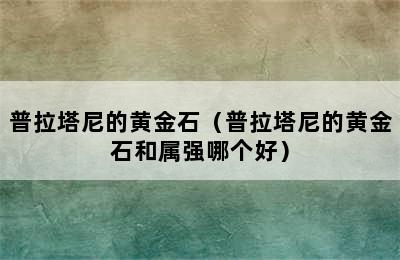 普拉塔尼的黄金石（普拉塔尼的黄金石和属强哪个好）