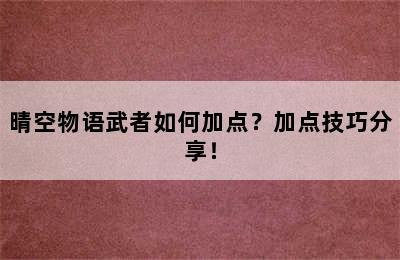 晴空物语武者如何加点？加点技巧分享！