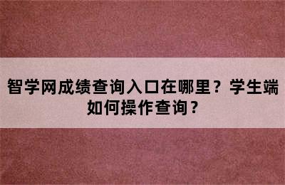 智学网成绩查询入口在哪里？学生端如何操作查询？