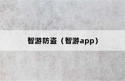 智游防盗（智游app）