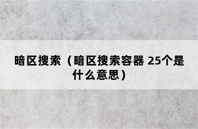 暗区搜索（暗区搜索容器+25个是什么意思）