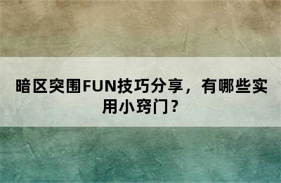 暗区突围FUN技巧分享，有哪些实用小窍门？