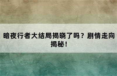 暗夜行者大结局揭晓了吗？剧情走向揭秘！