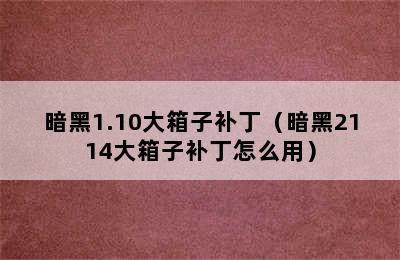 暗黑1.10大箱子补丁（暗黑2114大箱子补丁怎么用）