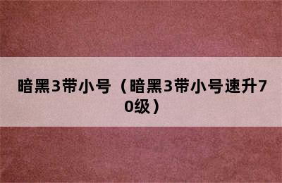 暗黑3带小号（暗黑3带小号速升70级）