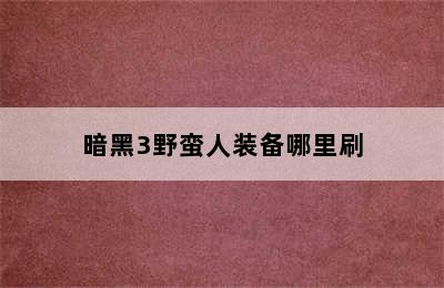 暗黑3野蛮人装备哪里刷