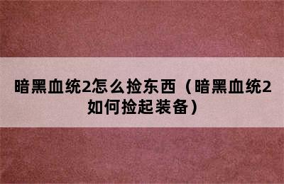 暗黑血统2怎么捡东西（暗黑血统2如何捡起装备）