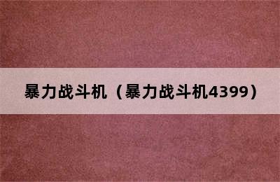 暴力战斗机（暴力战斗机4399）