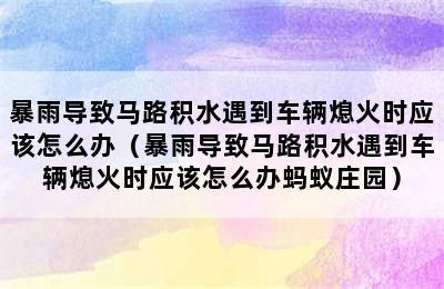 暴雨导致马路积水遇到车辆熄火时应该怎么办（暴雨导致马路积水遇到车辆熄火时应该怎么办蚂蚁庄园）