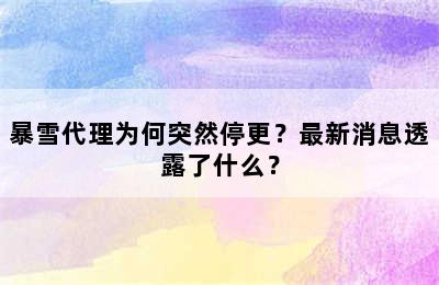 暴雪代理为何突然停更？最新消息透露了什么？