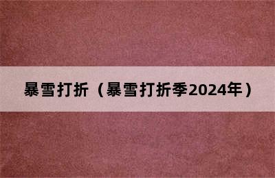 暴雪打折（暴雪打折季2024年）