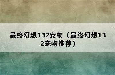 最终幻想132宠物（最终幻想132宠物推荐）