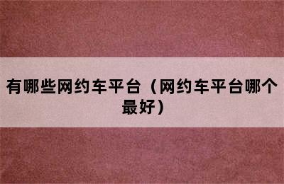 有哪些网约车平台（网约车平台哪个最好）