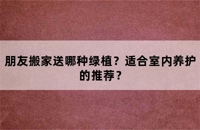 朋友搬家送哪种绿植？适合室内养护的推荐？