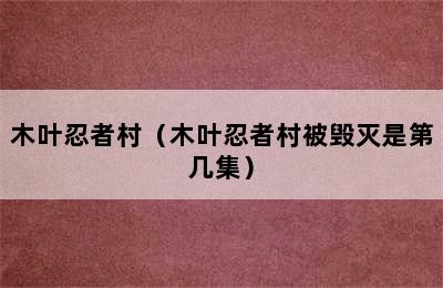 木叶忍者村（木叶忍者村被毁灭是第几集）