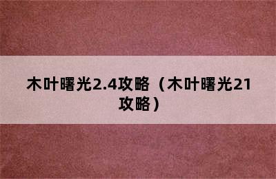 木叶曙光2.4攻略（木叶曙光21攻略）