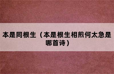 本是同根生（本是根生相煎何太急是哪首诗）