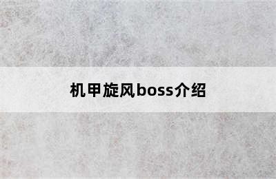 机甲旋风boss介绍