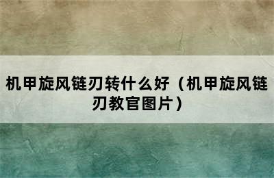 机甲旋风链刃转什么好（机甲旋风链刃教官图片）