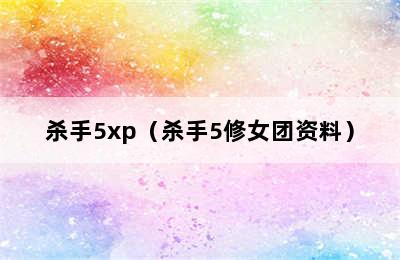 杀手5xp（杀手5修女团资料）