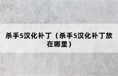 杀手5汉化补丁（杀手5汉化补丁放在哪里）