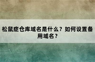 松鼠症仓库域名是什么？如何设置备用域名？