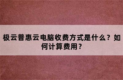 极云普惠云电脑收费方式是什么？如何计算费用？