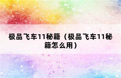 极品飞车11秘籍（极品飞车11秘籍怎么用）