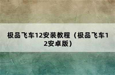 极品飞车12安装教程（极品飞车12安卓版）