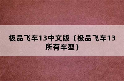 极品飞车13中文版（极品飞车13所有车型）