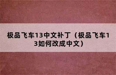 极品飞车13中文补丁（极品飞车13如何改成中文）