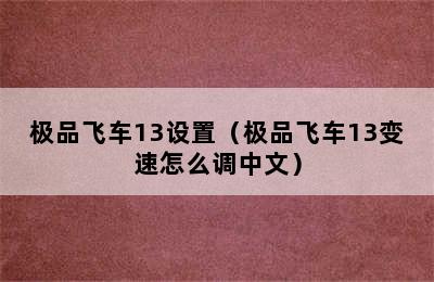 极品飞车13设置（极品飞车13变速怎么调中文）